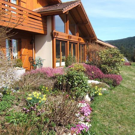 B&B Chalet L'Epinette Gérardmer Exteriér fotografie