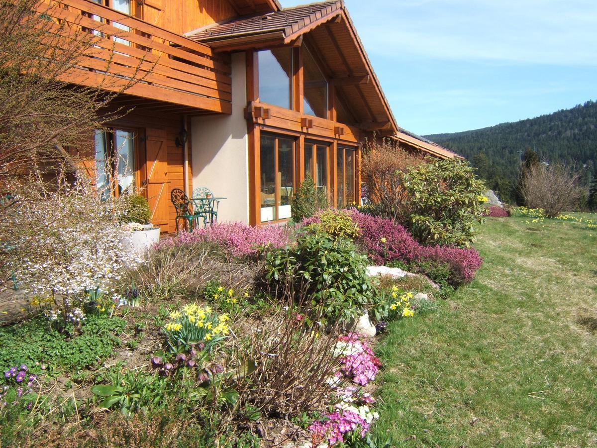 B&B Chalet L'Epinette Gérardmer Exteriér fotografie